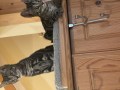 Sam und Sally (4)